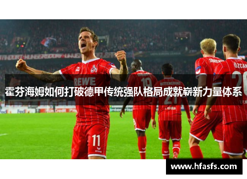 霍芬海姆如何打破德甲传统强队格局成就崭新力量体系