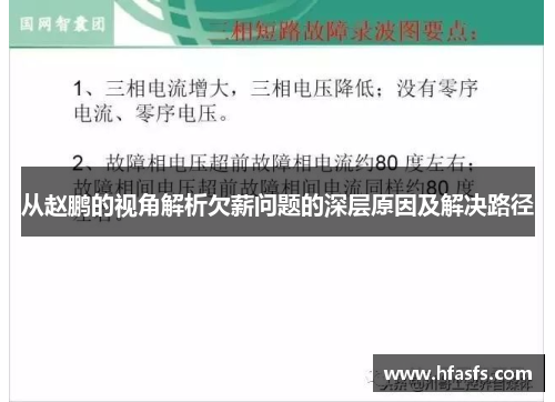 从赵鹏的视角解析欠薪问题的深层原因及解决路径