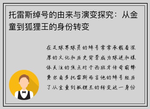 托雷斯绰号的由来与演变探究：从金童到狐狸王的身份转变