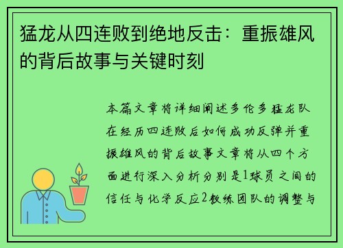 猛龙从四连败到绝地反击：重振雄风的背后故事与关键时刻